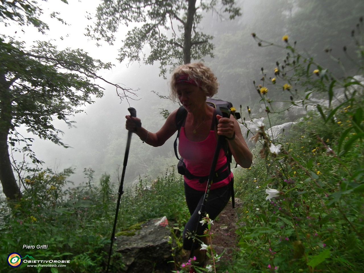 22 Nebbia nel canalone.JPG